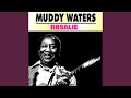 Country Blues (Number One)