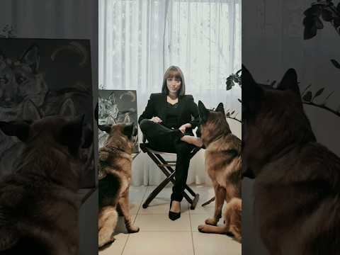 CÃES DE GUARDA sempre ! #pastoralemao #cachorro #adestramento #pet