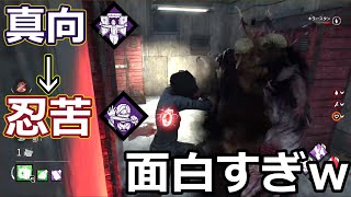 ♯477【DBD】スタンしてる横ですぐ忍苦セルケアしたら面白いすぎたｗｗｗ【 デッドバイデイライト】