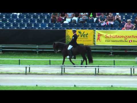 Kvika vom Forstwald, WK 2009 Breeding