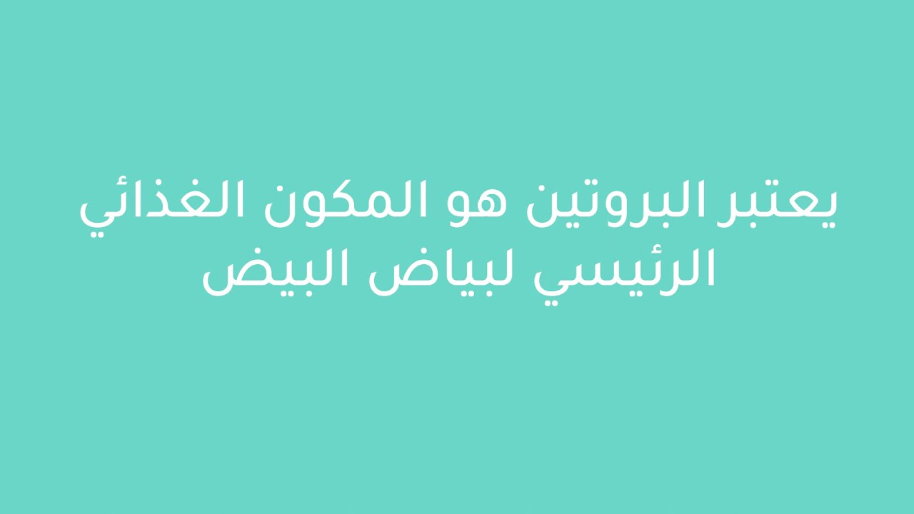 ما هي فوائد بياض البيض التجميلية؟