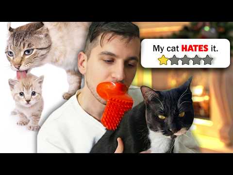 I Bought BANNED Cat Products From Temu