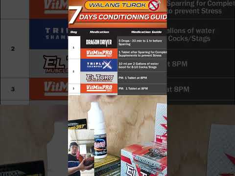 7 DAYS CONDITIONING sa manok panabong!