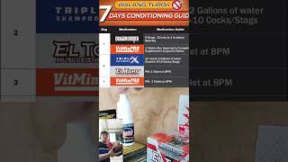 7 DAYS CONDITIONING sa manok panabong!