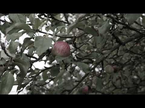 2 минуты назад