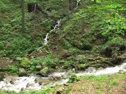 Sommerzeit in Sosa im Erzgebirge -just sumertime