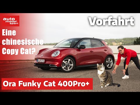 Ora Funky Cat (2023): Nur niedlich, schwerhörig & teuer? - Fahrbericht (Review) I auto motor sport