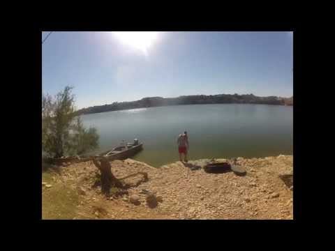 Catfish fishing on the River Ebro, Spain. ian 125 lbs Wels Catfish