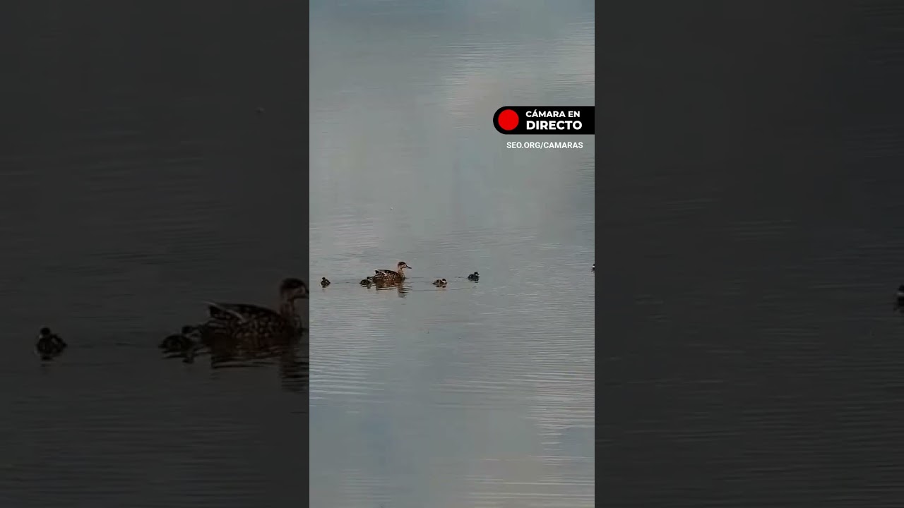 ¡Parece más una guardería!