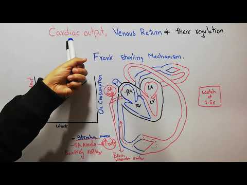 CVS 166 || what is Frank Starling law| cardiac output & venous return regulations| Bainbridge reflex