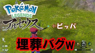 【Pokémon LEGENDS アルセウス】ビッパ、埋葬されてしまうw【バグ】