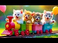 MEOW MEOW KITTENS THE CUTE CAT MEOW ️ Latest Viral Indonesian Children S Songs
