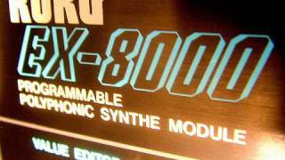 Video thumbnail for Korg EX-8000 (DW-8000 Rack) DWGS Hybrid Synthesizer by RetroSound