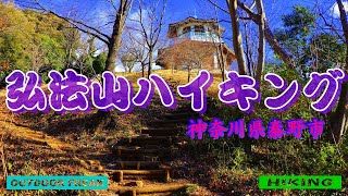 弘法山ハイキング  神奈川県秦野駅→浅間山→権現山展望台→馬場道→弘法山→吾妻山→鶴巻温泉駅　＃桜の名所 #馬場道