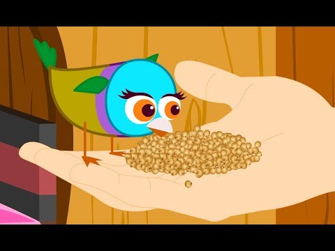 Frost er úti fuglinn minn + 16 mínútur af barnalögum | Barnalög