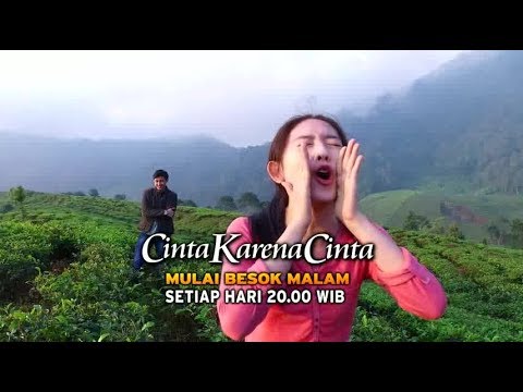 CINTA KARENA CINTA : Mulai besok!