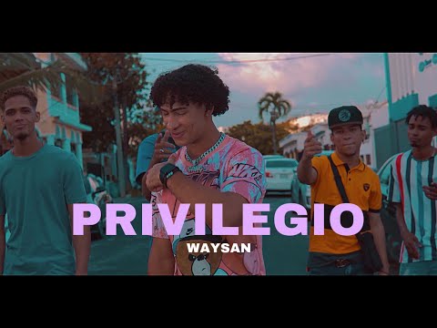 Waysan - PRIVILEGIO ( VIdeo Oficial )