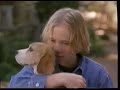 Shiloh A Dog S Story Movie Preview Ad March 11 1997