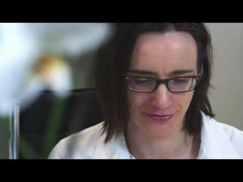 Die Datext-Kernkompetenz: Der Workflow bleibt digital - von Anfang bis Ende