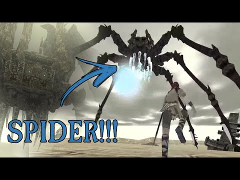 TRIBUTE - Spider Test