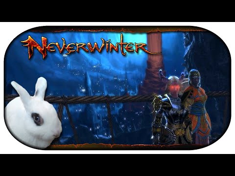 NEVERWINTER: Paladin-LP 🐇 98 - Frauen-Power