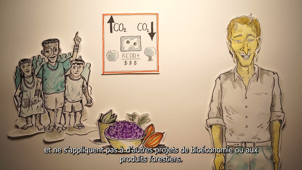 Carbon Markets and Our Rights | What are the Risks to our Rights? (Video 5/6)