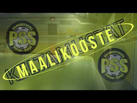 Maalikooste HIFK - PSS B-pojat (Sarjapeli 9.2.2019)