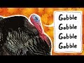 Turkeys For Kids Wild Turkeys Animals For Kids Thanksgiving Bird