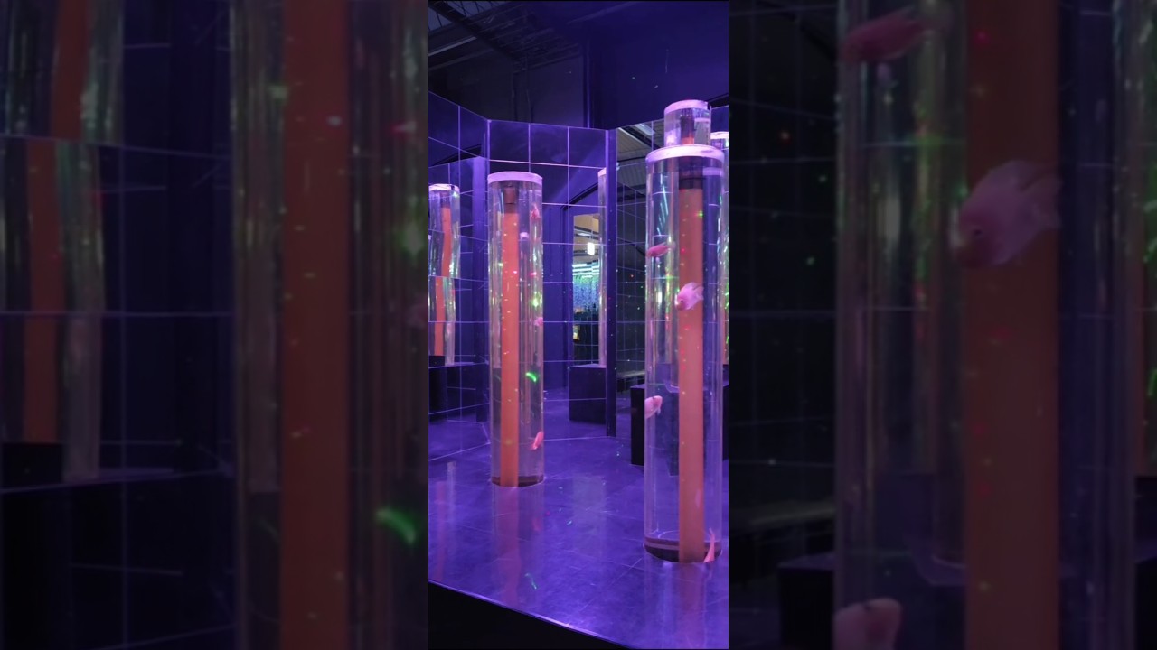 おう#beautiful #shorts