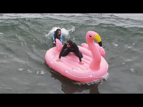 GIANT FLAMINGO Surfing (EPIC Wipeouts)