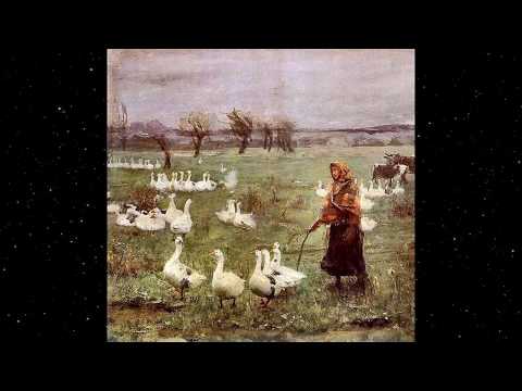 Rivers Like Veins - Skrzydlaty Siewca Ciszy (New Track)