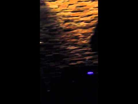 Platinum one band Carl Johnson and Clynton rowe