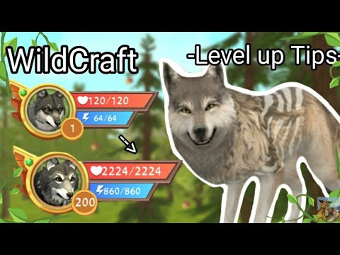 WildCraft -Level up Tips- How To Level up fast 🌿