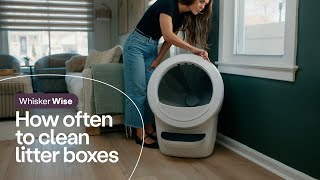 Litter-Robot Traditional litter boxes vs. automatic litter boxes