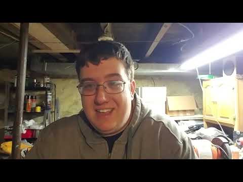 2019 Update, What's To Come, Stray Cat Update, & A New Platform