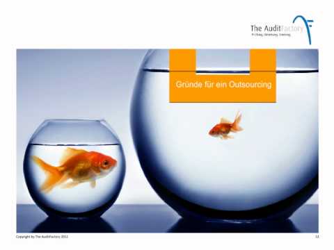 Outsourcing_Interne_Revision.mov