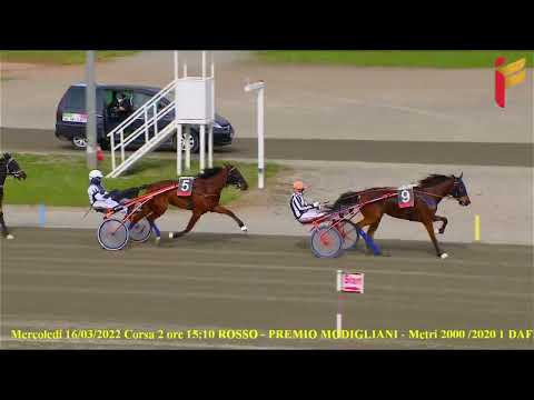 II Corsa del 16 Marzo 2022 - 3 Anni - Metri 2000/2020