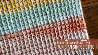 Tunisian Simple Stitch Tutorial