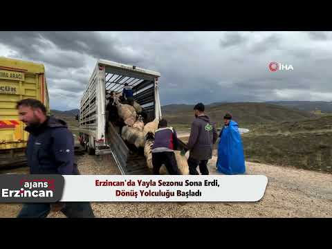 Erzincan'da Yayla Sezonu Sona Erdi, Dönüş Yolculuğu Başladı