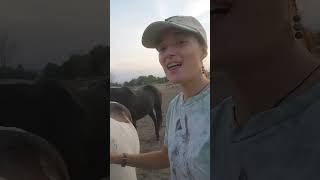 Think Outside The Boy by Lauren Alaina