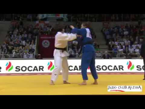 Judo fintlari