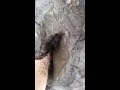 Mud Stepping