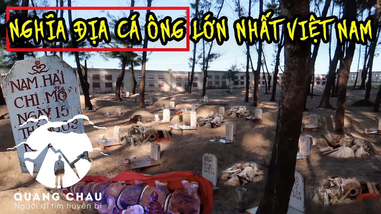 Đột nhập Nghĩa Địa Cá Ông lớn nhất Việt Nam