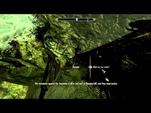 Skyrim walkthrough - In My Time of Need