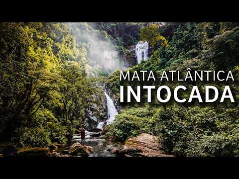 UM dos LUGARES MAIS ISOLADOS da MATA ATLÂNTICA | Trilha do OURO, Serra da Bocaina