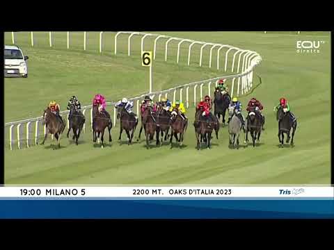 Oaks D'italia - Gruppe 2