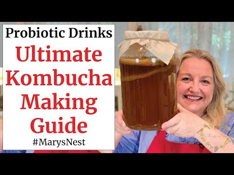 download lagu mp3 mp4 Printable Kombucha Recipe, download lagu Printable Kombucha Recipe gratis, unduh video klip Printable Kombucha Recipe