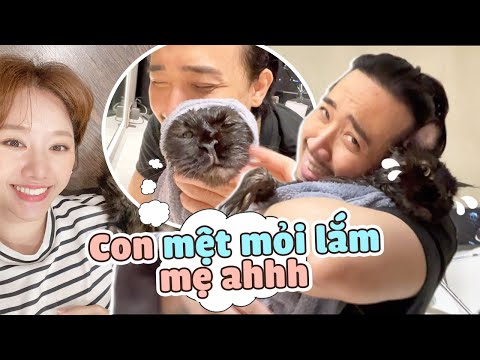 Đồng nghiệp vô tình 