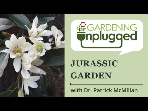 Gardening Unplugged - Jurassic Gardens with Dr. Patrick McMillan.