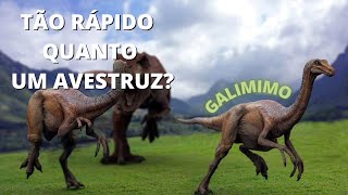 Galimimo Um Dinossauro tão Rápido quanto um Avestruz ?